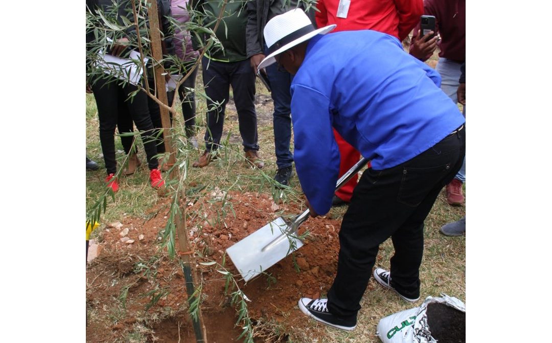 Gauteng government and Mogale City celebrate the many powers of trees