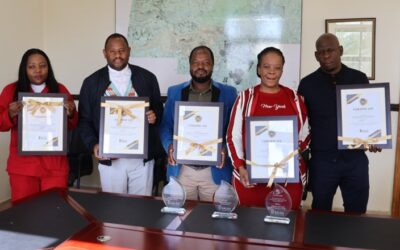 Mogale bags five excellent governance accolades