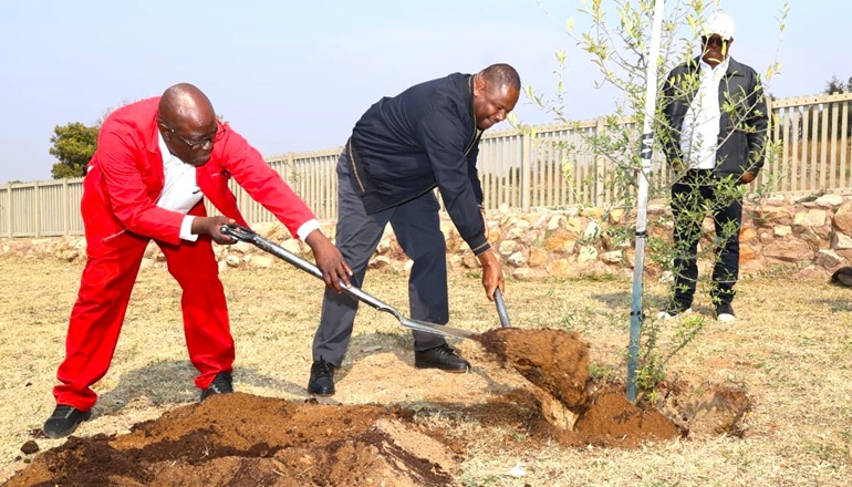 Mayor Planting Trees
