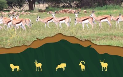 REQUEST FOR PROPOSALS TO REFURBISH, EXPAND, FINANCE, AND OPERATE THE KRUGERSDORP GAME RESERVE