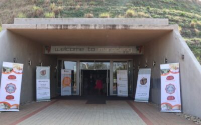 PUTTING WOMEN AT THE CENTRE OF MOGALE’S ECONOMY